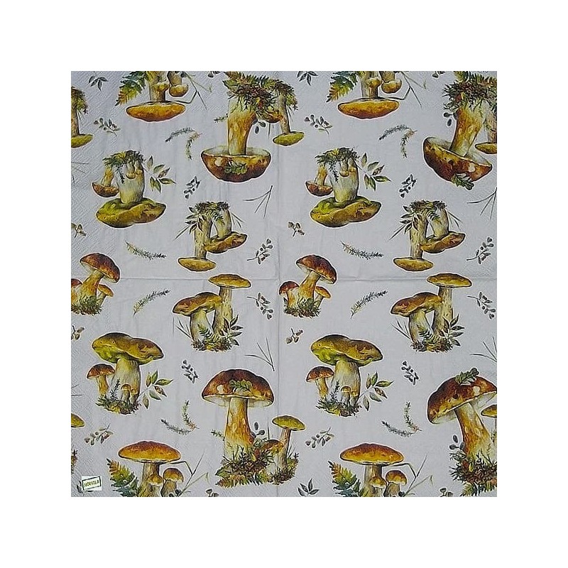 1serviette Les Champignons-20