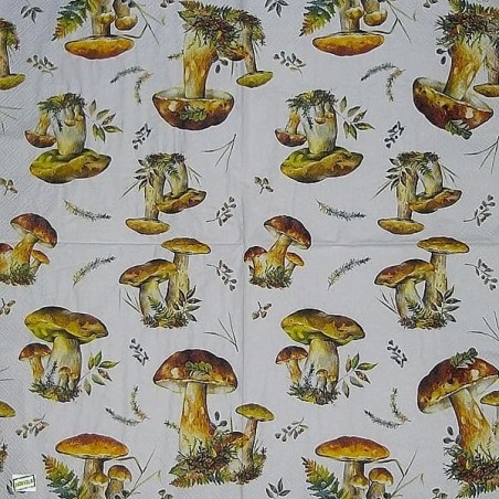 1serviette Les Champignons-20