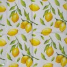 20 serviettes Les citrons -L52