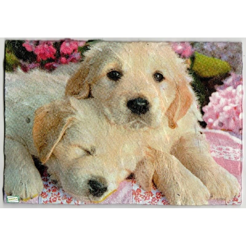 Plaque déco ardoise Chiens serviettage