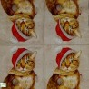 1serviette papier Chat-52