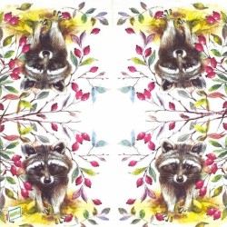 1serviette Le Raton Laveur-23