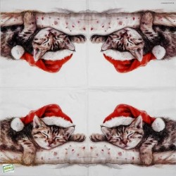 1serviette papier Chat-90